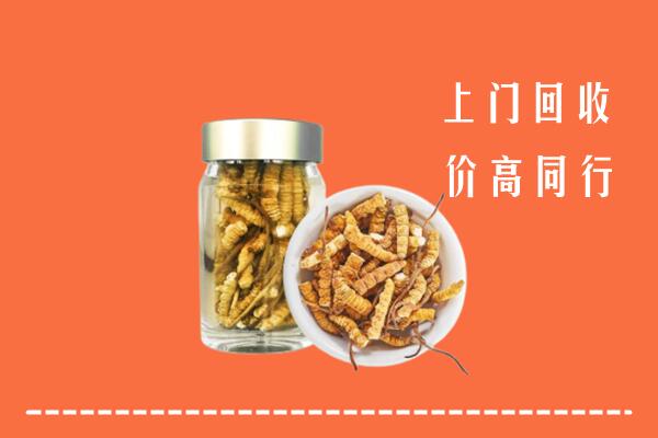 黔西南兴义市回收冬虫夏草